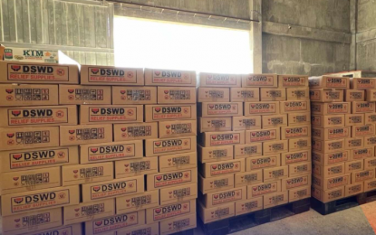 <p>DSWD's family food packs (File photo)</p>
<p> </p>
<p> </p>