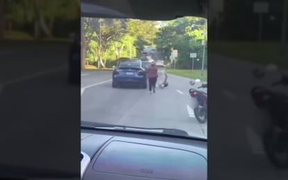 <p><strong>PEDESTRIAN COLLISION.</strong> The passenger of a motorcycle who approached a Tesla electric vehicle rolled along the road after being hit by the car in Nuvali, Santa Rosa, Laguna on Sept. 25, 2024. The Land Transportation Office has summoned the driver of the Tesla, who is being investigated for violation of the Land Transportation and Traffic Code. <em>(Screen capture of VISOR Facebook video)</em></p>