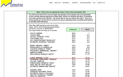 <p>Screenshot of the Pulse Asia Ulat ng Bayan survey conducted from September 6 to 13, 2024. </p>