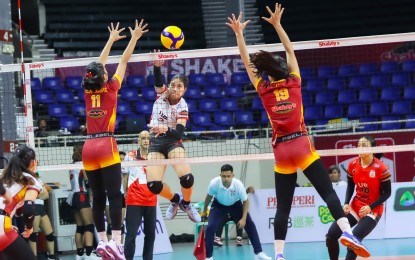 <p><strong>ATTACK.</strong> University of the East's Kayce Balingit (center) tries to score against University of Perpetual Help's Camille Bustamante (No. 11) and Jazhryll Loraine Lagmay (No. 19) during the Shakey’s Super League (SSL) Collegiate Pre-season Championship at the Rizal Memorial Coliseum on Friday (October 4, 2024). The Lady Red Warriors won, 25-17, 25-20, 25-15. <em>(SSL photo)</em></p>