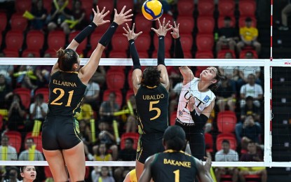 <p><strong>SPIKE.</strong> UST's Angeline Poyos (No. 17) goes against Far Eastern University's Jazlyn Ellarina (No. 21) and Christine Ubaldo (No. 5) during Game 3 of the Women's V-League Collegiate Challenge finals at the Philsports Arena in Pasig City on Friday (October 4, 2024). UST won, 24-26, 25-20, 25-21, 25-14.<em> (Photo courtesy of PVL)</em></p>