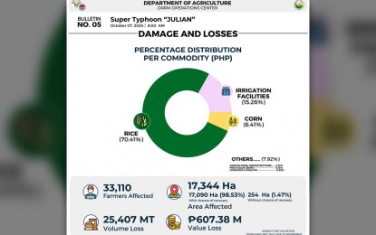 ‘Julian’ affects 33K farmers, leaves P600-M agri damage