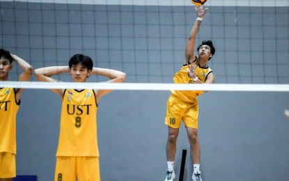 <p><strong>STILL UNDEFEATED</strong>. University of Santo Toms’s Crisean James Cruz serves during the game against the University of the Philippines Integrated School in the UAAP Season 87 High School boys’ volleyball tournament at the Paco Arena in Manila on Wednesday (Oct. 9, 2024). The Junior Golden Spikers won, 25-6, 25-7, and 25-7 to remain undefeated in six matches. <em>(UAAP photo)</em></p>