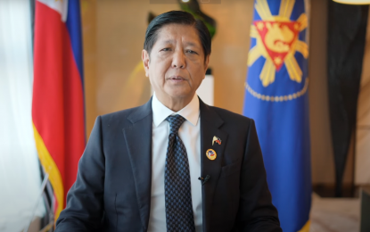 PBBM: ASEAN to work closely on sustainable agriculture, food security