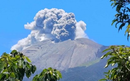 <p><strong>MAGMATIC ERUPTION</strong>. Kanlaon Volcano in Negros Island erupts on April 14, 2025, spewing ash and other materials up to 800 meters in the air. Philippine Institute of Volcanology and Seismology Director Teresito Bacolcol on Wednesday (April 16) advised communities near the volcano to remain vigilant and heed guidance from authorities.<em> (Photo courtesy of Negros Oriental PDRRMO)</em></p>