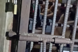 16 detainees bolt Zamboanga jail