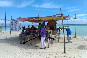 Virgin Island’s ‘blatant degradation’ alarms Bohol execs