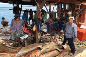 20 Vietnamese fishers nabbed off Palawan charged with poaching
