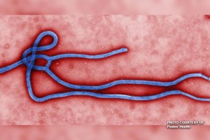 New Ebola death case confirmed in Congo