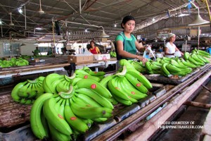 Banana growers hope Duterte's Korea visit results in lower tariff 
