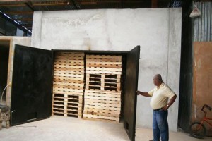 DOST-FPRDI’s HT technology boosts PH pallet industry 