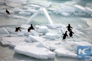Ice loss in Antarctica speeds up global sea level rise