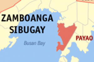Lightning kills 2, injures 1 in Sibugay town