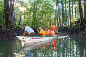 Tourism projects in Puerto Princesa seek DOLE funding