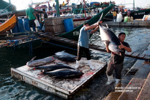 Tuna players push for adoption of new technologies