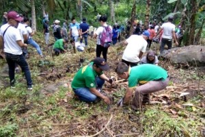 100 hardwood tree seedlings planted in Maguindanao 