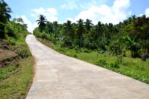 New road seen to enhance Samar’s red rice farming