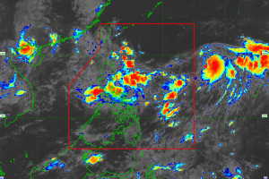 LPA may enter PAR within 24 hours 