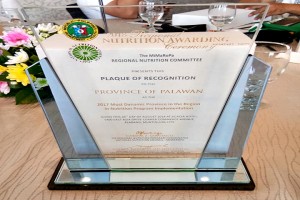 Palawan ‘Most Dynamic Province’ in regional nutrition awards