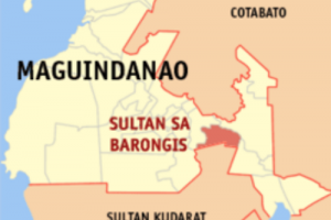 7 BIFF killed in Army offensives in Maguindanao