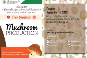 DA opens 150 slots for free lecture, training on mushroom production