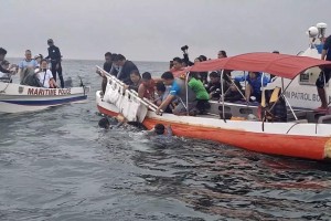 Stranded rough-toothed dolphin in Pangasinan returns to sea