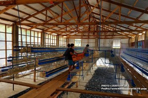 PH set to resume export of poultry products to SoKor