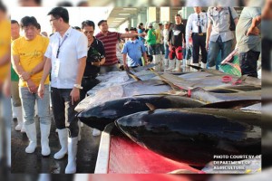 Gov't sets more stringent tuna conservation measures