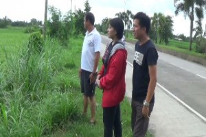'Ompong' damages 10K-ha of rice fields in Bataan