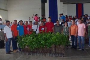 Ilocos Norte resumes greening program