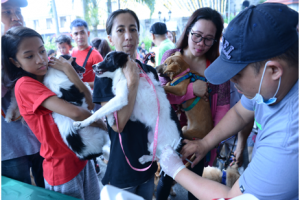 DOH reminds public to be responsible pet owners