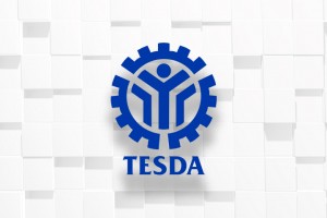 TESDA chief wants more DTS partners in regions