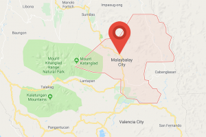 Bukidnon village declares CPP-NPA persona non grata