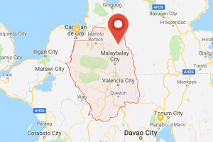 2 Reds die in Agusan-Bukidnon border clash
