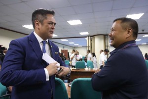 Ejercito commends PCOO for 'revitalized' PNA