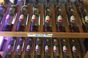 Ilocos’ largest dragon fruit farm unveils latest wine