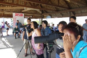 Birdwatchers await return of Great Cormorant to Paoay