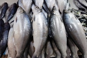 Prices of bangus, tilapia in NCR remain stable