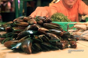 Shellfish safe to eat as Bicol remains red tide-free