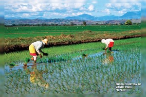 Agriculture among top concerns of Duterte admin