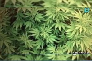 House OKs medical marijuana bill on 2nd reading