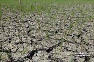 Gov’t crafts roadmap to address El Niño, water shortage