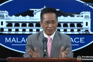 Palace backs NSA filing of initial data vs. 'CPP front groups'