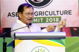 Farm-to-market roads before Mindanao railway: Piñol