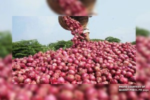 DA suspends onion importation