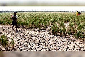 Water shortage may affect food security: Piñol