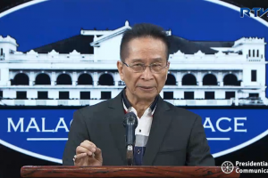 Econ managers brace for repercussions of re-enacted budget: Palace