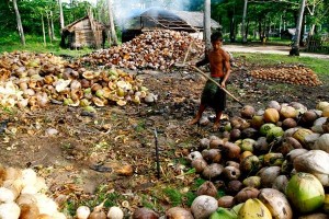 Coco levy trust fund ‘powerful instrument’ to support farmers