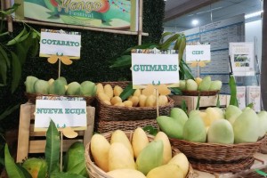 DA showcases PH mangoes in 2-day fair