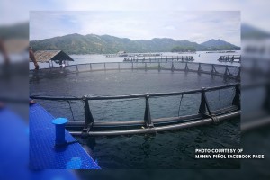 BFAR to develop 300 fish cages in every region